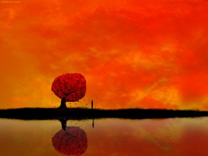 autumn